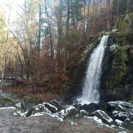 žiaková - 111 *