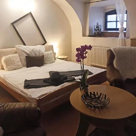 Apartmán 111 - žiaková