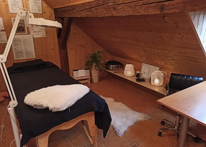 Lägenhet Apartmany Ziakova - Ubytovani Nove Hrady 111 *